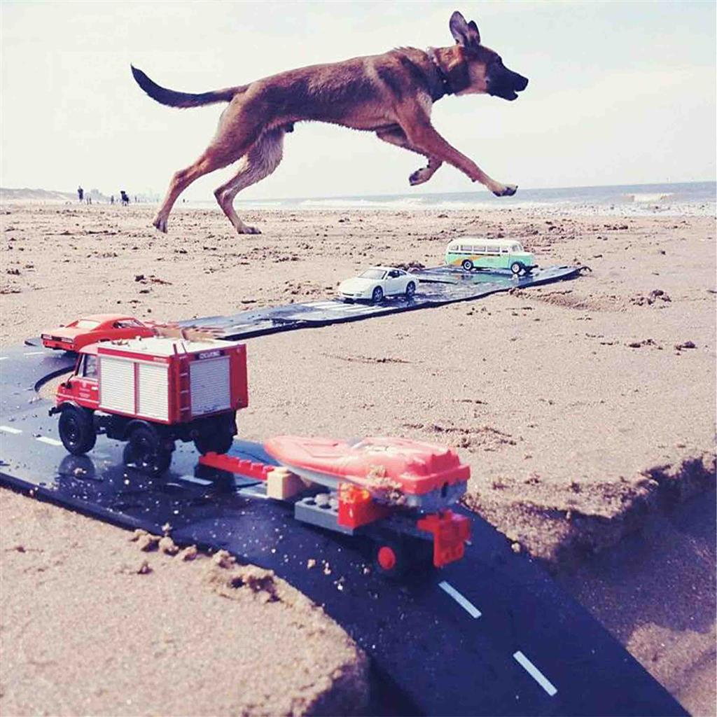 Piste de voiture roi de la route (40 pièces)