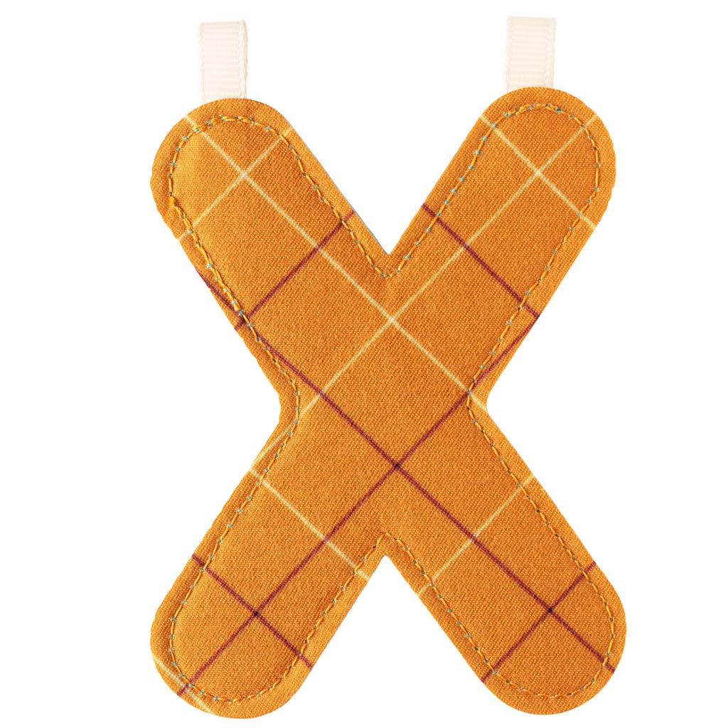 Letter X