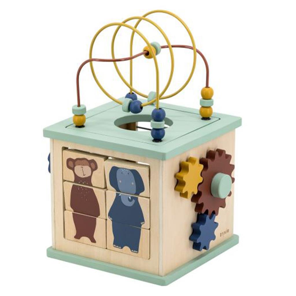 Activity cube 5-in-1