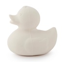 Anneau de dentition canard