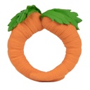 Teething ring carrot