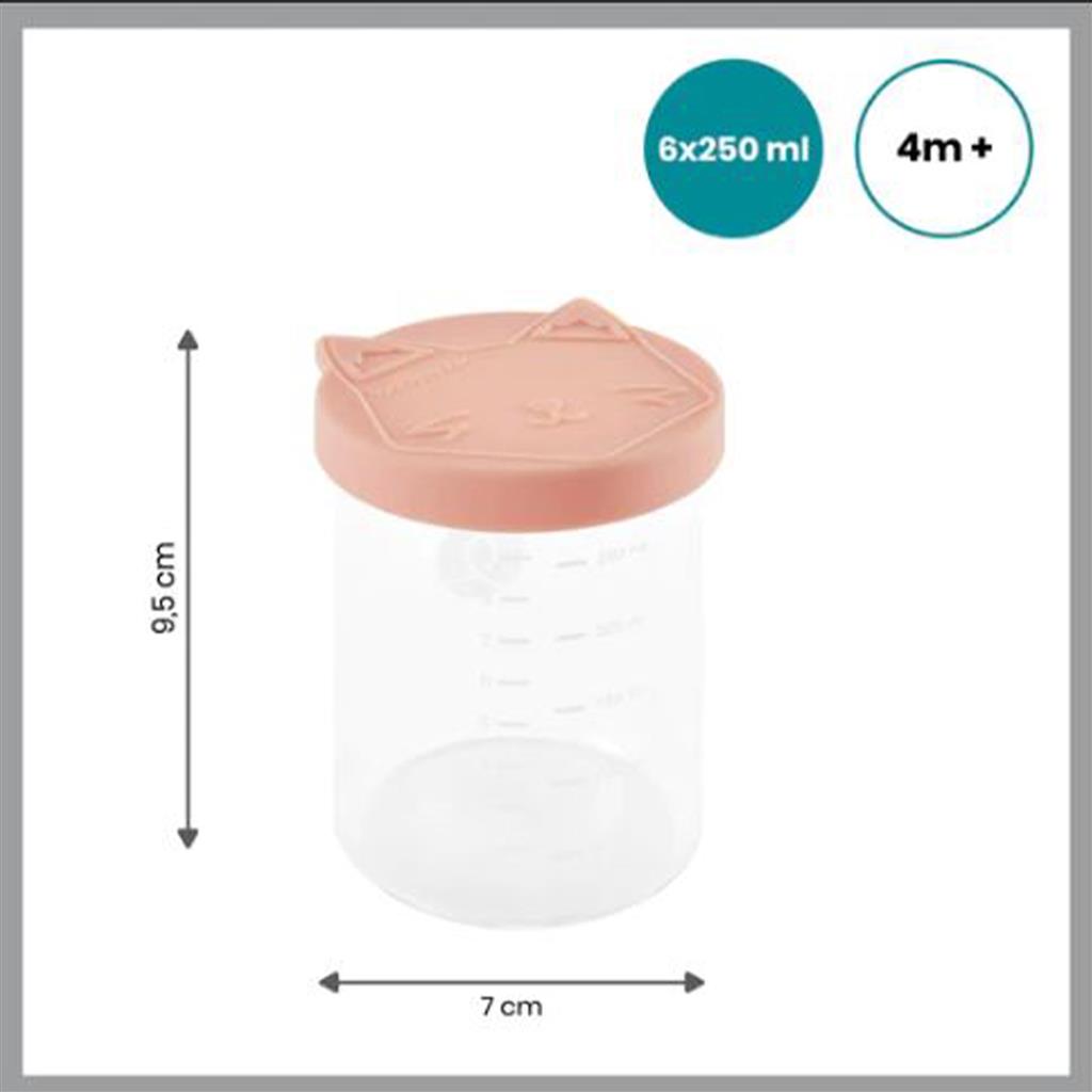 Storage jars 250ml (6pcs) glass