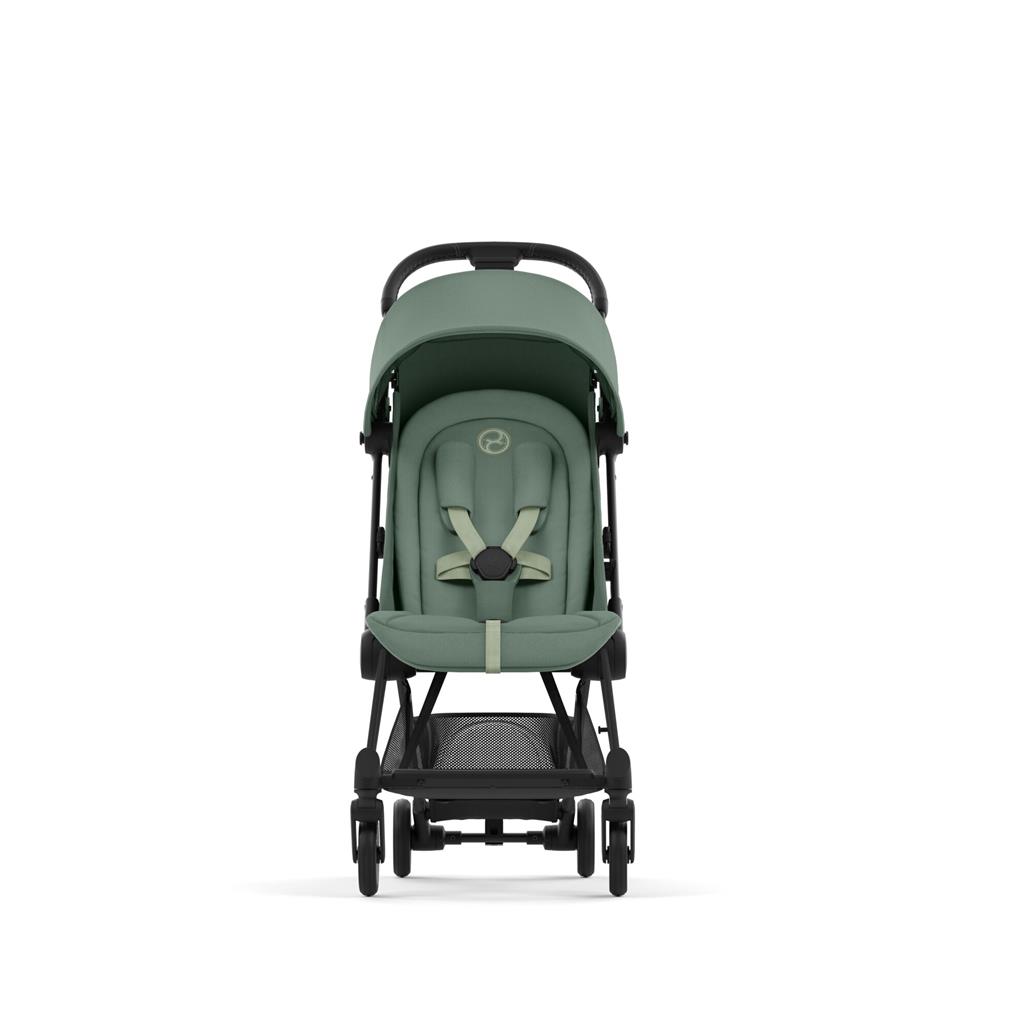 Buggy (frame black) Coya