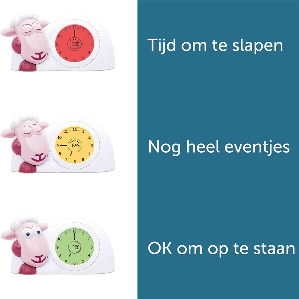 Slaaptrainer schaap Sam