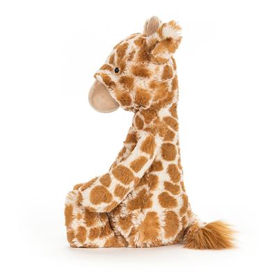 Cuddly shy giraffe