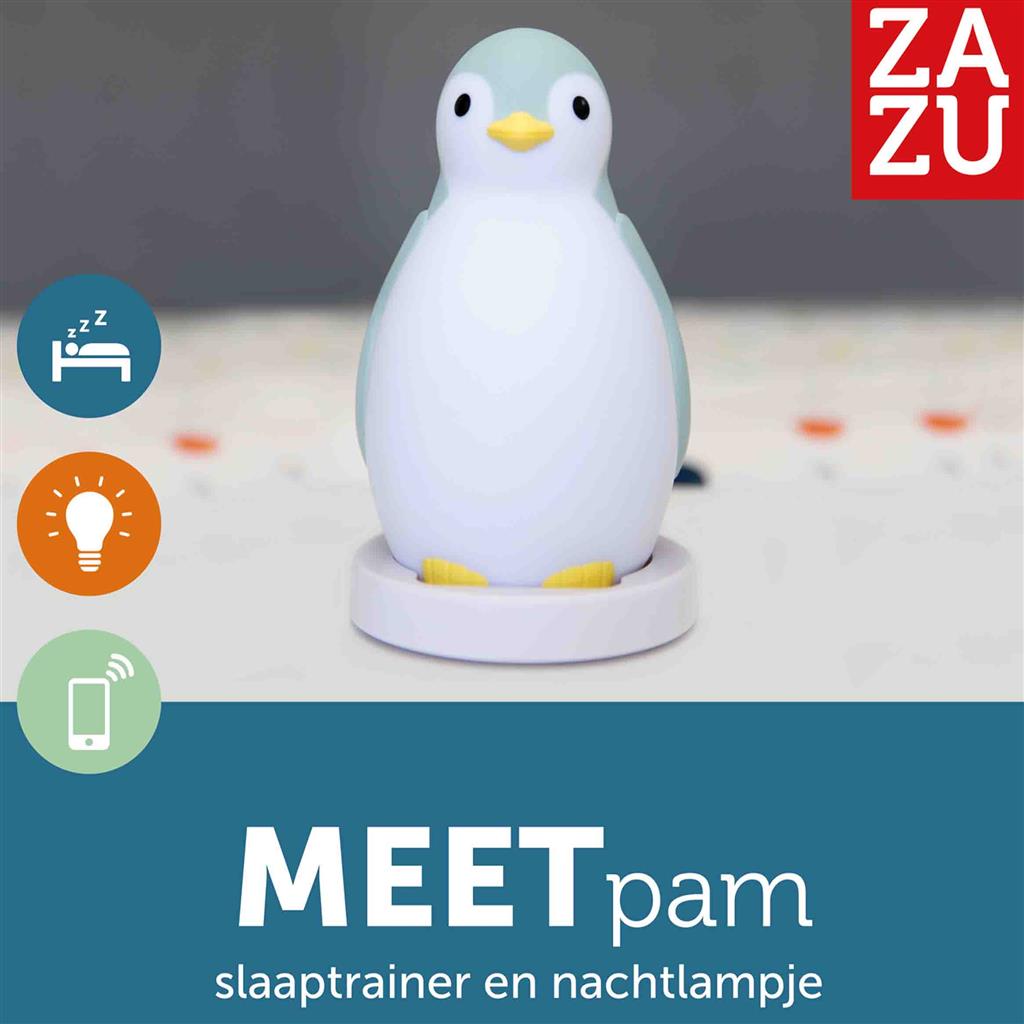 Slaaptrainer pinguïn Pam