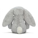 Lapin câlin et timide très grand (67cm)