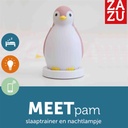 Pingouin endormi Pam