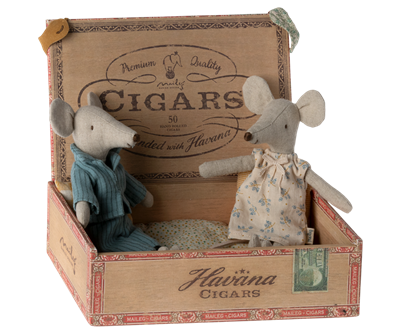 Mommy and daddy mice in cigar box