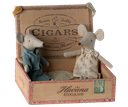 Mommy and daddy mice in cigar box