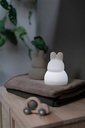 Night light rabbit with music