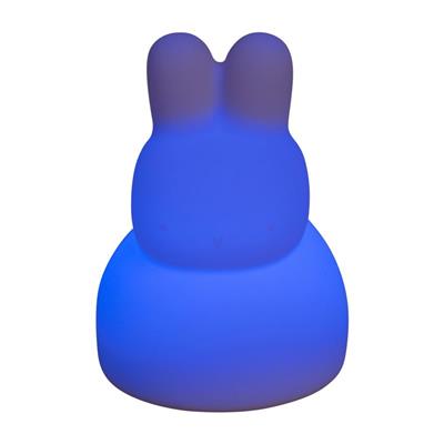 Night light rabbit with music