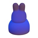 Night light rabbit with music