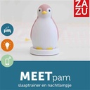 Pingouin endormi Pam