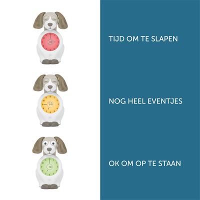 Slaaptrainer hond Davy