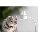 Night light cat