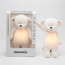 Teddy bear (with light and sound)