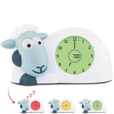 Sleeping trainer sheep Sam