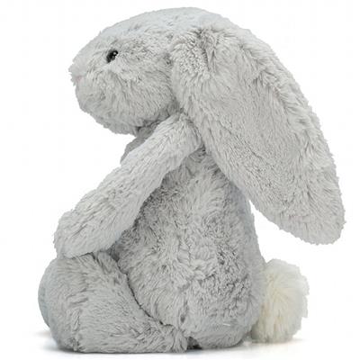 Lapin câlin et timide très grand (67cm)