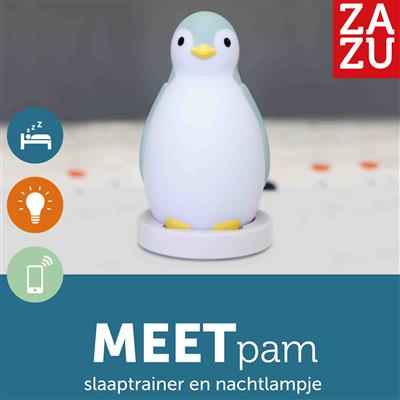 Slaaptrainer pinguïn Pam