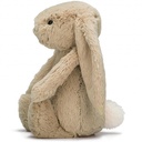 Lapin câlin et timide très grand (67cm)