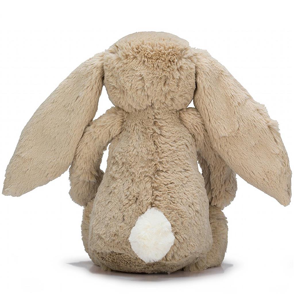 Lapin câlin et timide très grand (67cm)