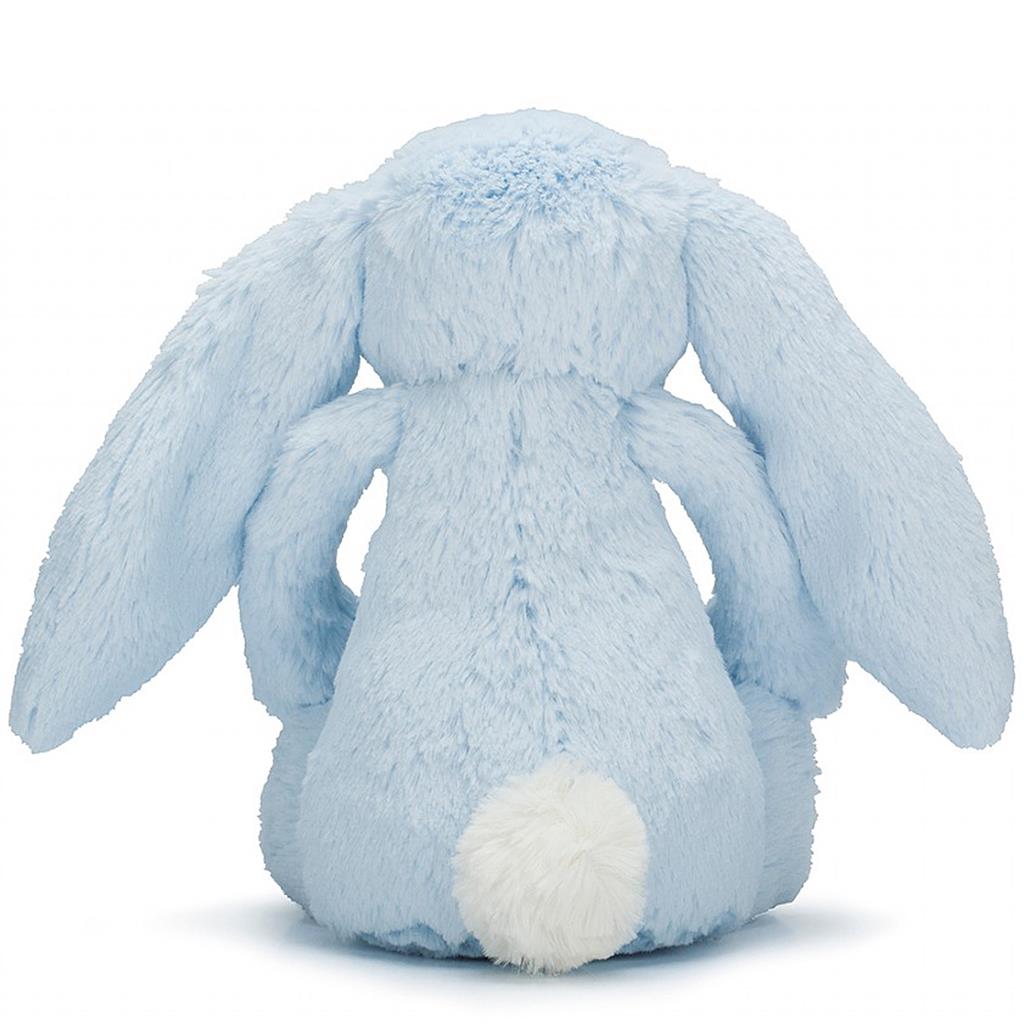 Lapin câlin et timide de taille moyenne (31cm)