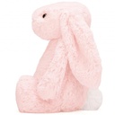 Lapin câlin et timide de taille moyenne (31cm)