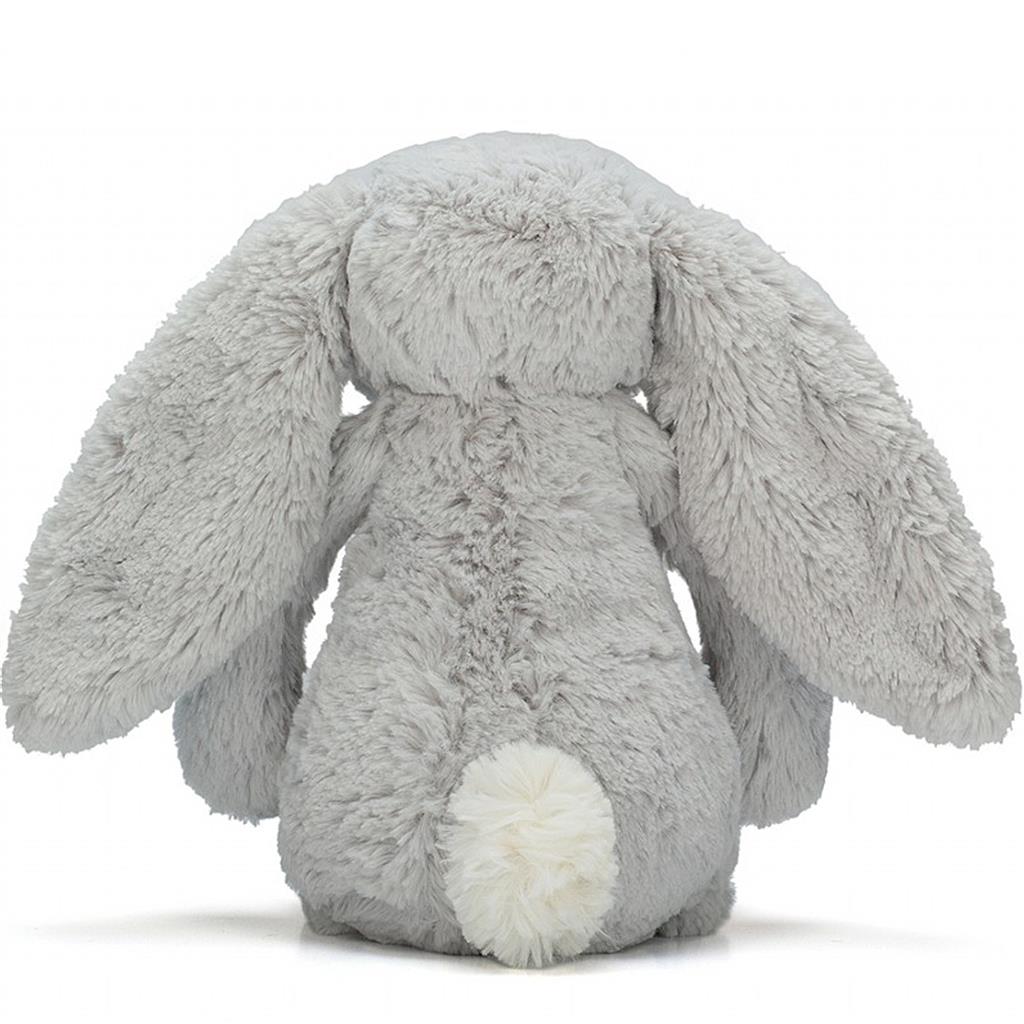 Lapin câlin et timide de taille moyenne (31cm)