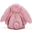 Lapin câlin et timide de taille moyenne (31cm)