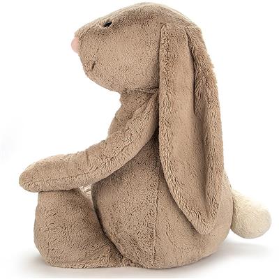 Lapin câlin et timide très grand (108cm)