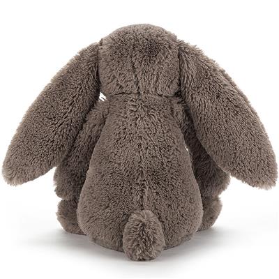 Lapin câlin et timide de taille moyenne (31cm)