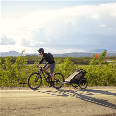 Bicycle trailer sport 1