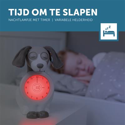 Chien d'entraînement au sommeil Davy