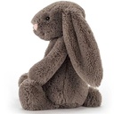 Lapin câlin et timide de taille moyenne (31cm)