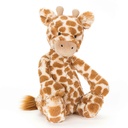 Cuddly shy giraffe