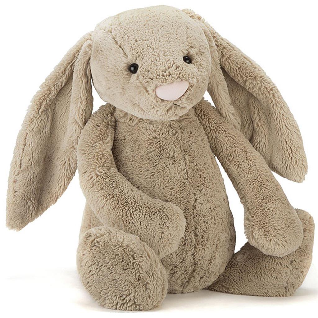 Lapin câlin et timide très grand (67cm)