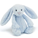 Lapin câlin et timide de taille moyenne (31cm)