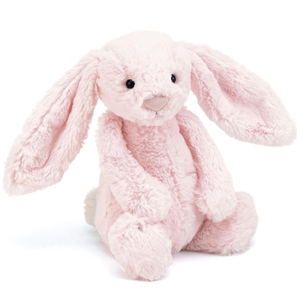 Lapin câlin et timide de taille moyenne (31cm)