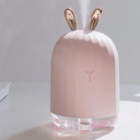 Lapin humidificateur