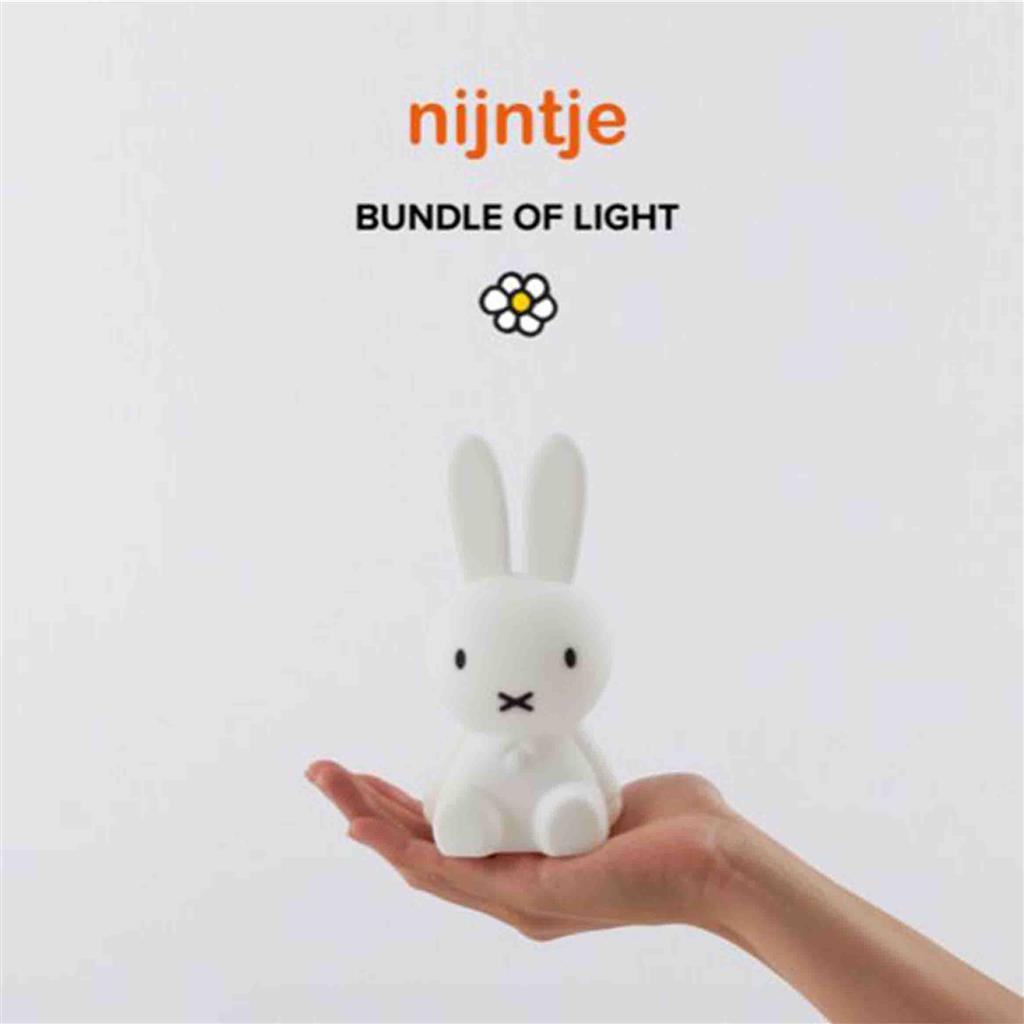 Night light bundle of light