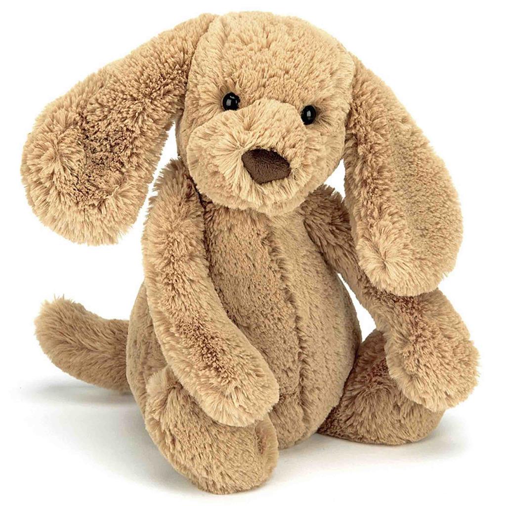 Cuddly shy puppy (medium)