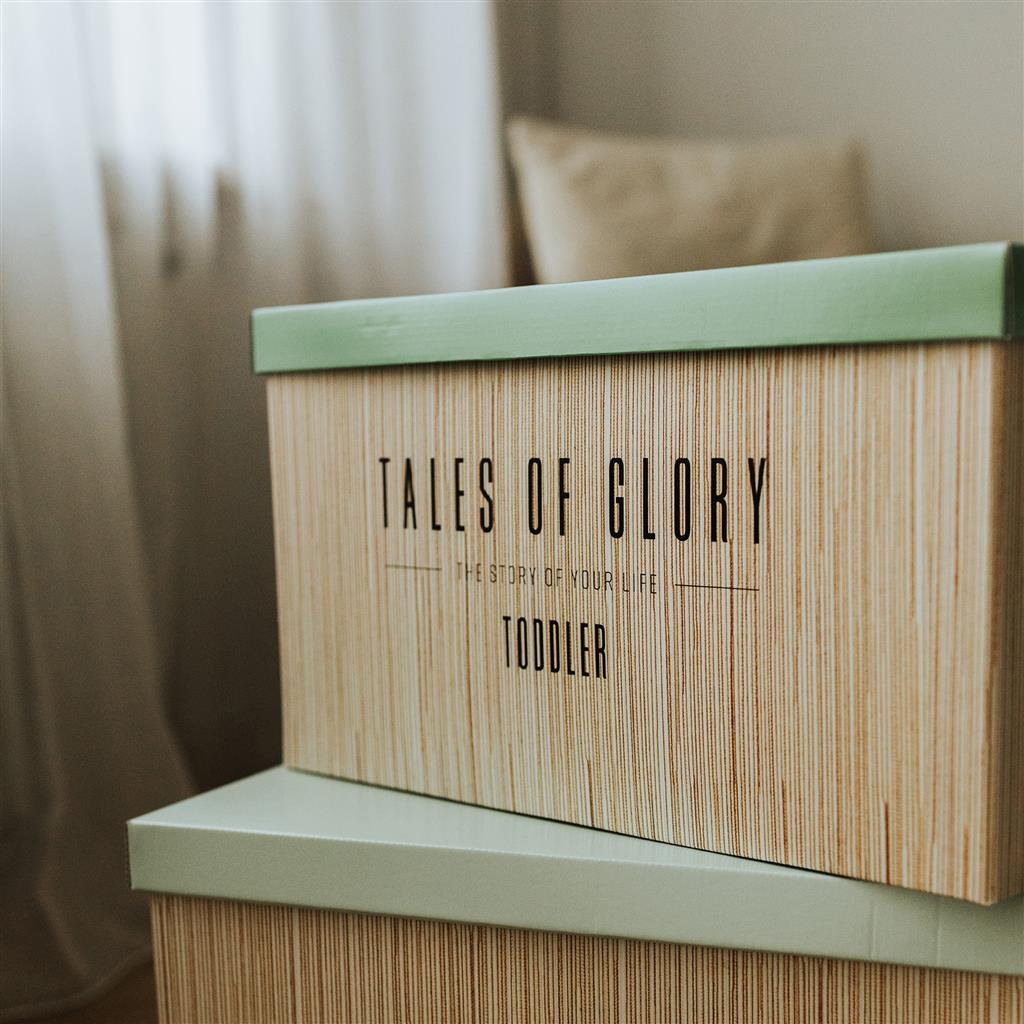 Toddler (preschooler) milestone box