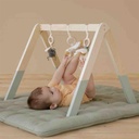 *Babygym little goose
