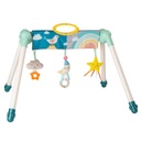 Play bow mini moon