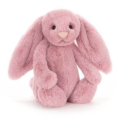 Lapin câlin timide