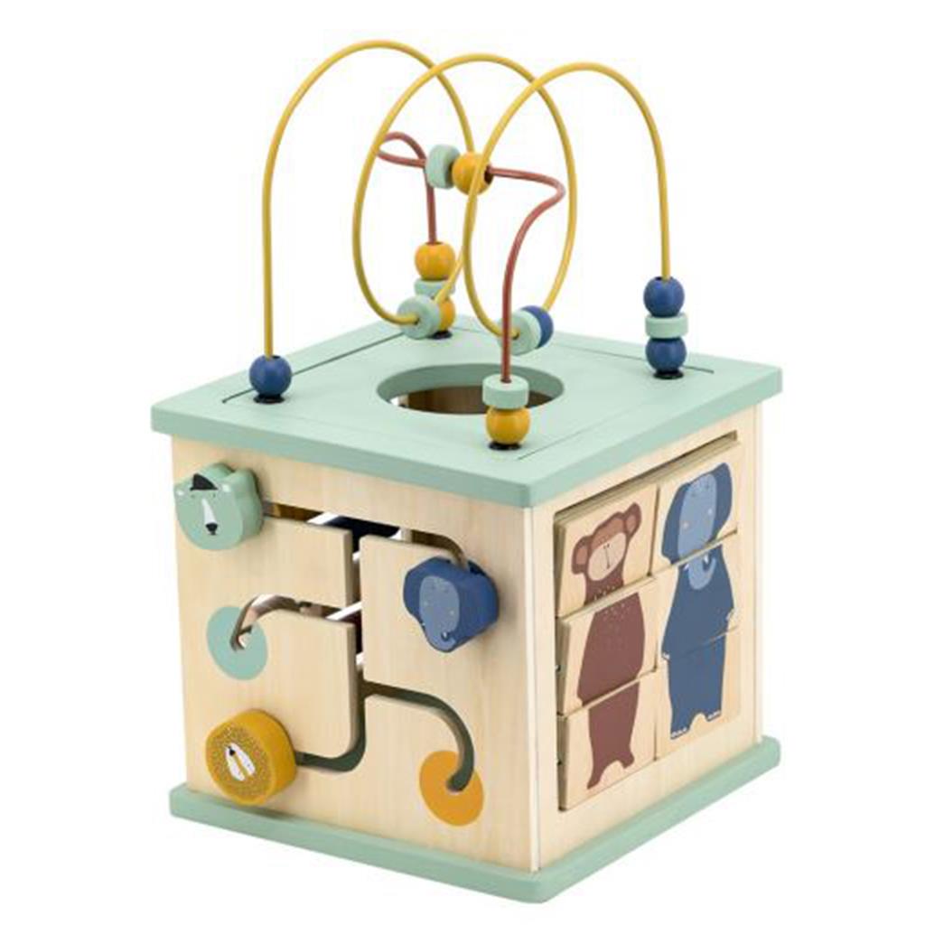 Activity cube 5-in-1