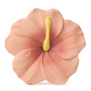 Anneau de dentition hibiscus