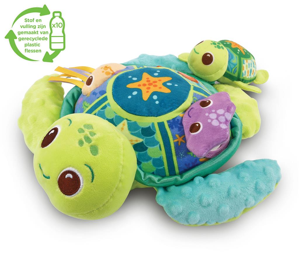 Sea friends turtle