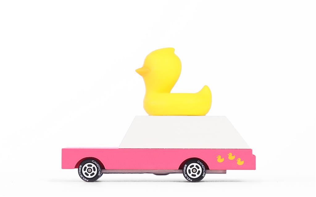 Car duck